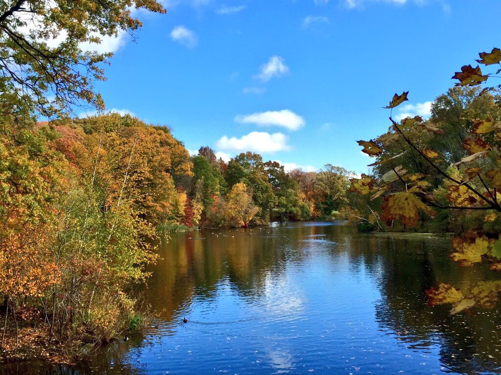 Thank you for joining the themed discussion sessions!