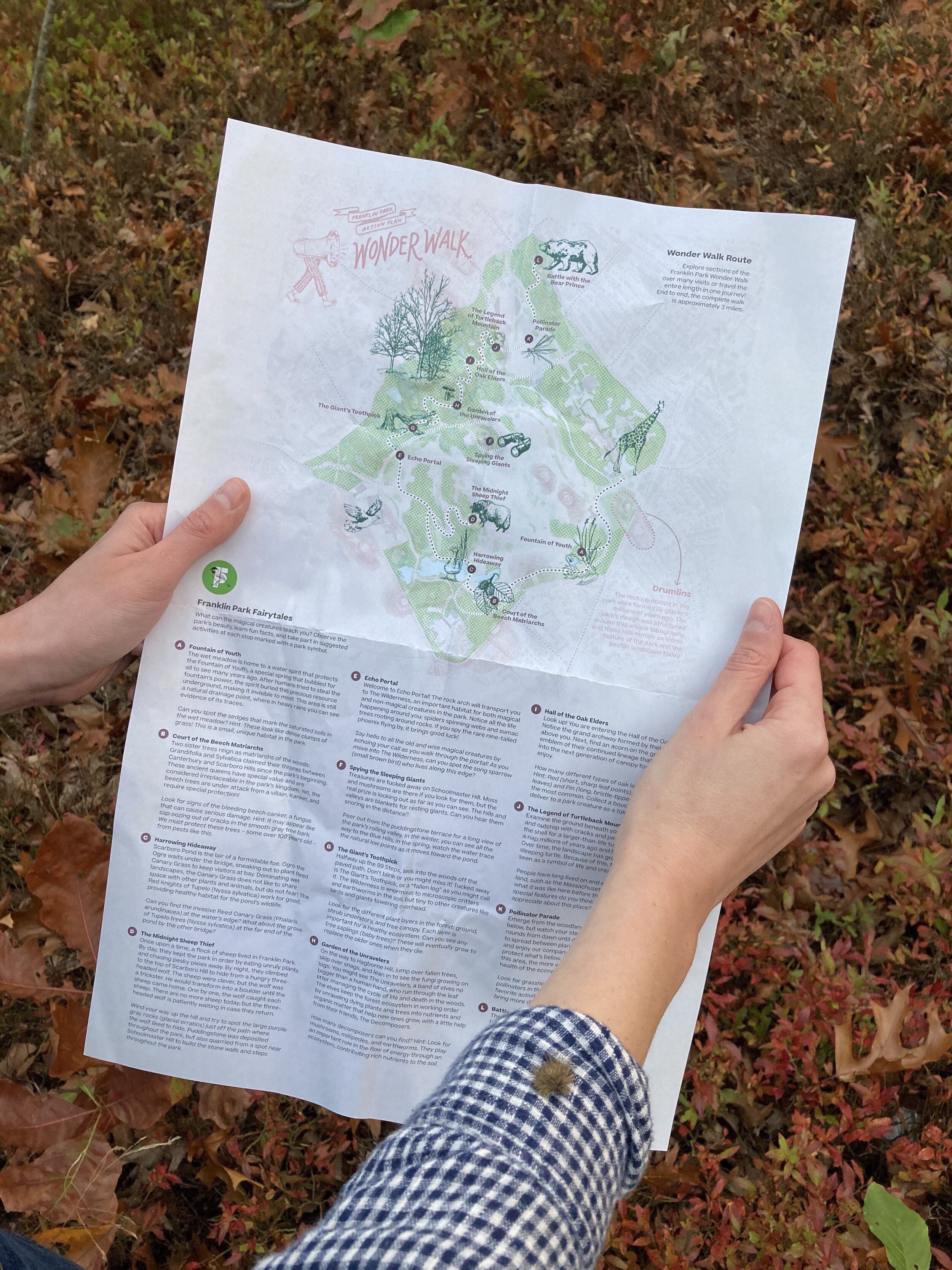 Wonders abound in Franklin Park!